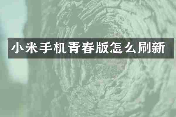 小米手机青春版怎么刷新