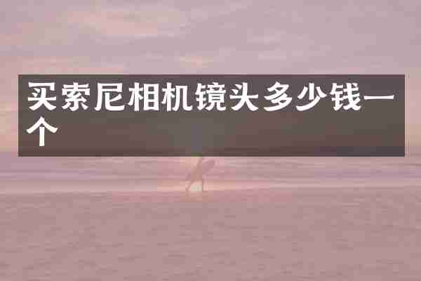 买相机镜头多少钱一个