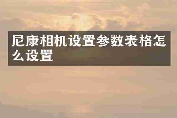 尼康相机设置参数表格怎么设置