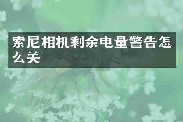 相机剩余电量警告怎么关