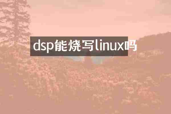 dsp能烧写linux吗
