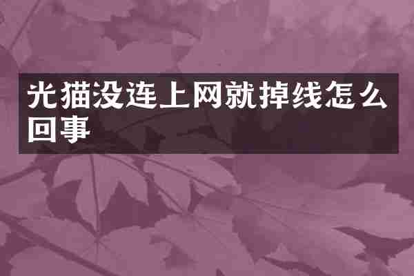 光猫没连上网就掉线怎么回事