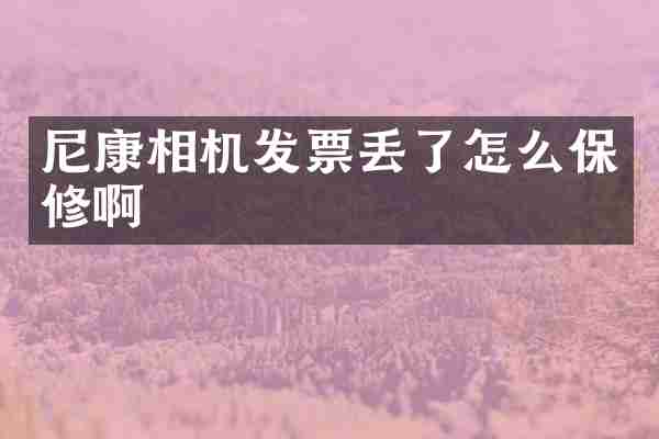 尼康相机发票丢了怎么保修啊
