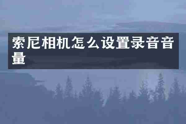 相机怎么设置录音音量
