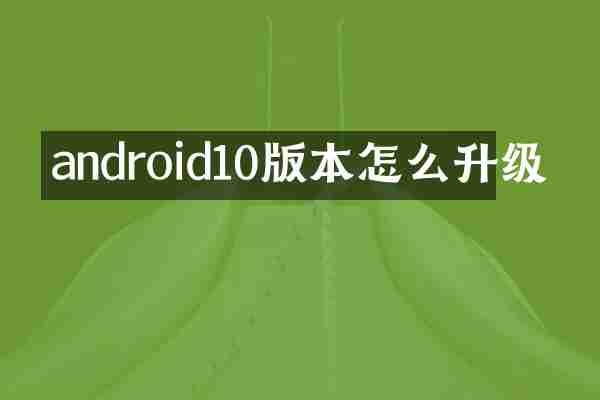 android10版本怎么升级