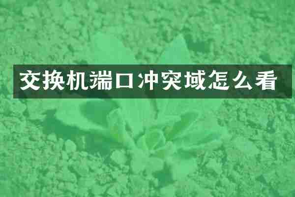 交换机端口冲突域怎么看
