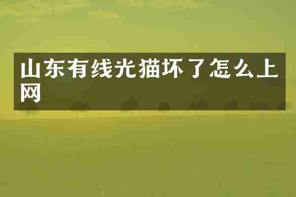山东有线光猫坏了怎么上网