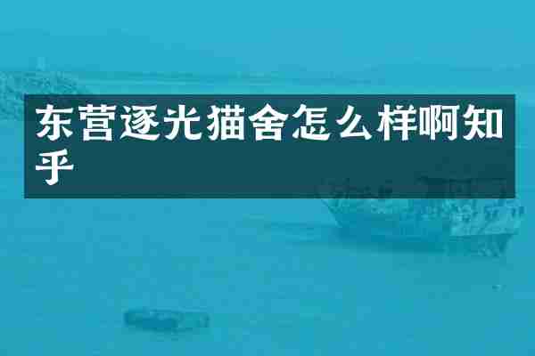 东营逐光猫舍怎么样啊知乎