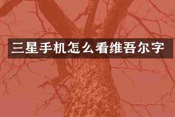 三星手机怎么看维吾尔字