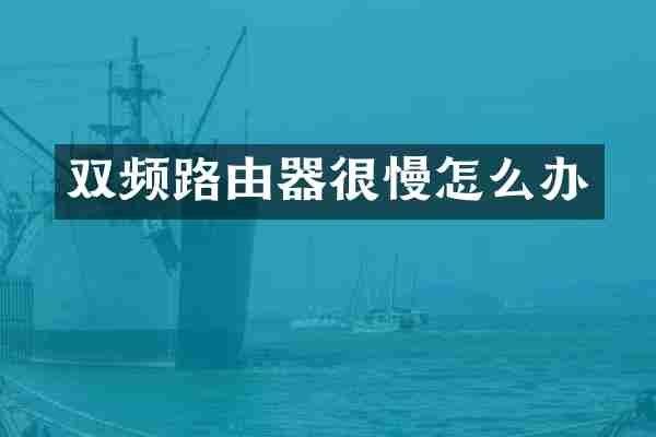 双频路由器很慢怎么办
