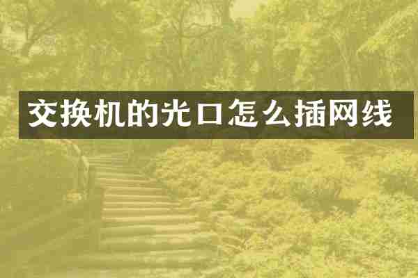 交换机的光口怎么插网线