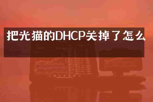 把光猫的DHCP关掉了怎么办
