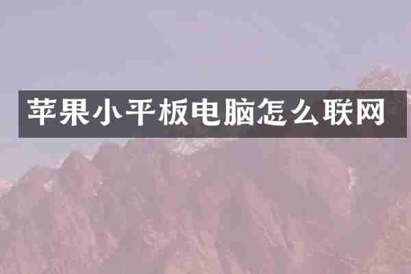 苹果小平板电脑怎么联网