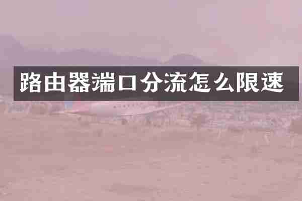 路由器端口分流怎么限速