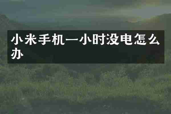 小米手机一小时没电怎么办