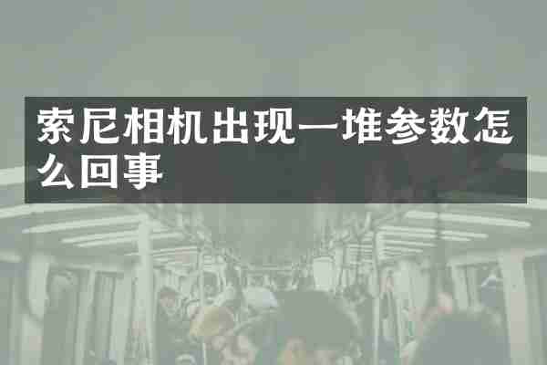 相机出现一堆参数怎么回事
