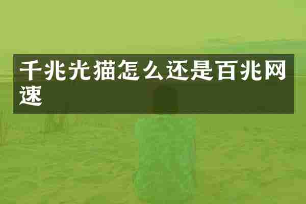 千兆光猫怎么还是百兆网速