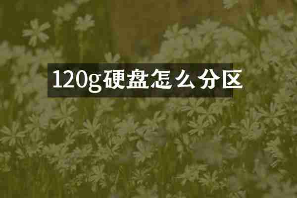 120g硬盘怎么分区