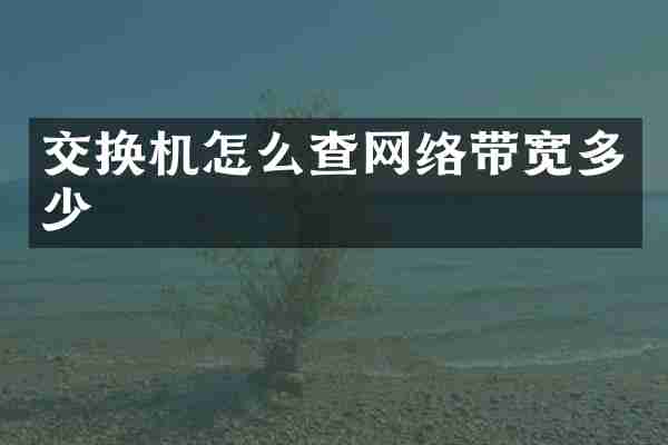 交换机怎么查网络带宽多少