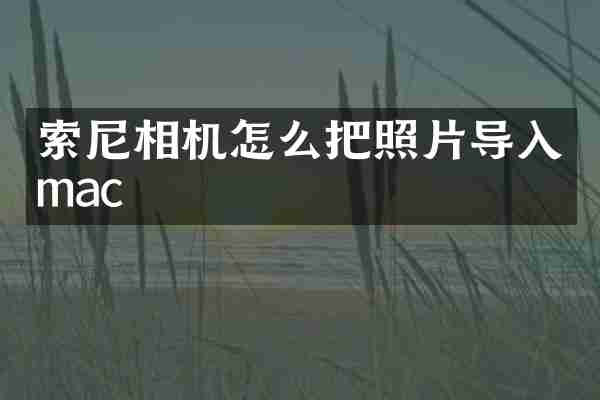 相机怎么把照片导入mac