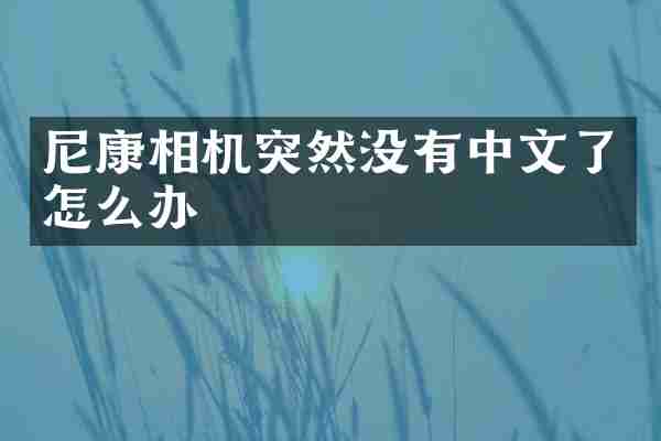 尼康相机突然没有中文了怎么办