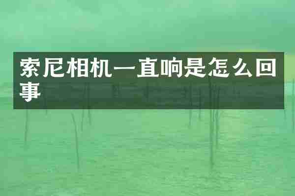 相机一直响是怎么回事