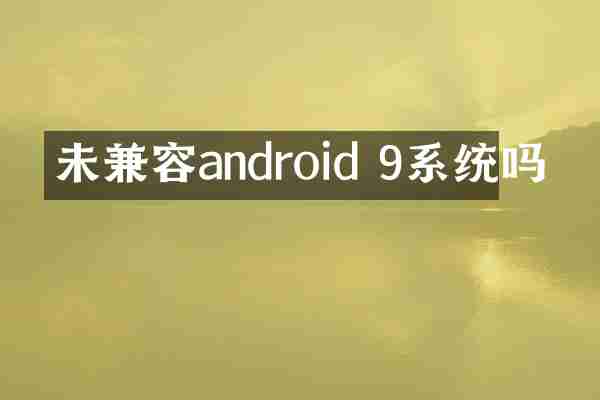 未兼容android 9系统吗