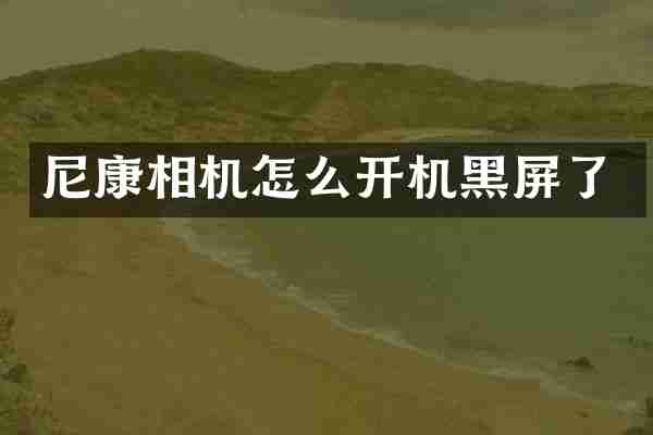 尼康相机怎么开机黑屏了