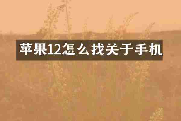 苹果12怎么找关于手机
