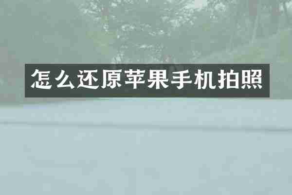 怎么还原苹果手机拍照