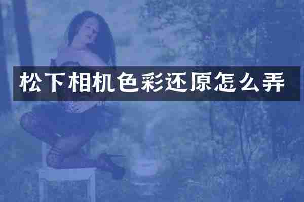相机色彩还原怎么弄