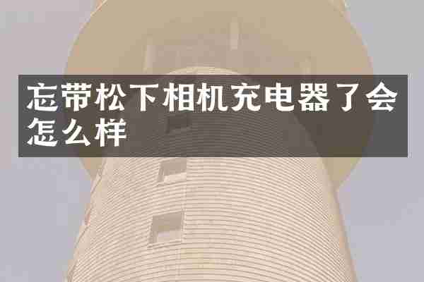 忘带相机充电器了会怎么样