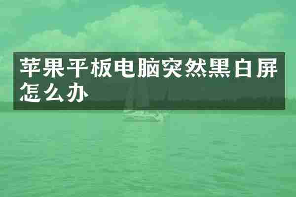 苹果平板电脑突然黑白屏怎么办