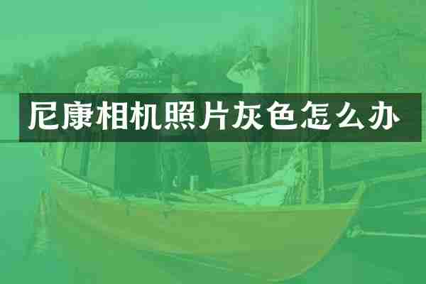 尼康相机照片灰色怎么办