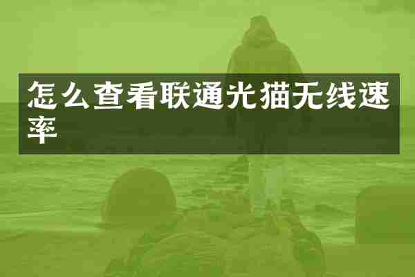 怎么查看联通光猫无线速率