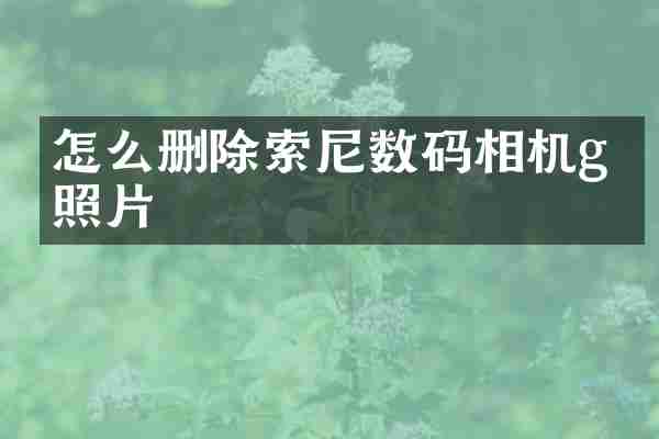 怎么删除数码相机g盘照片