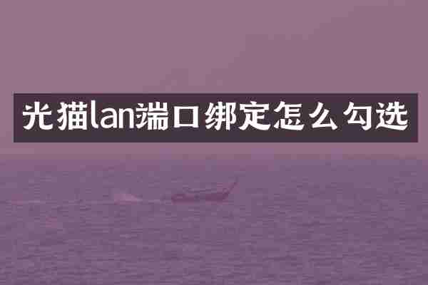 光猫lan端口绑定怎么勾选