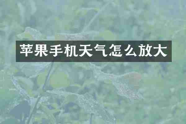 苹果手机天气怎么放大
