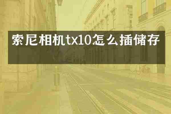 相机tx10怎么插储存卡