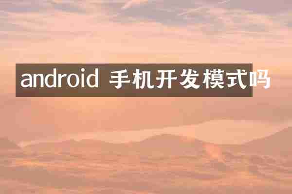 android 手机开发模式吗