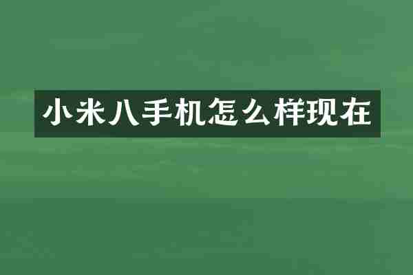 小米八手机怎么样现在