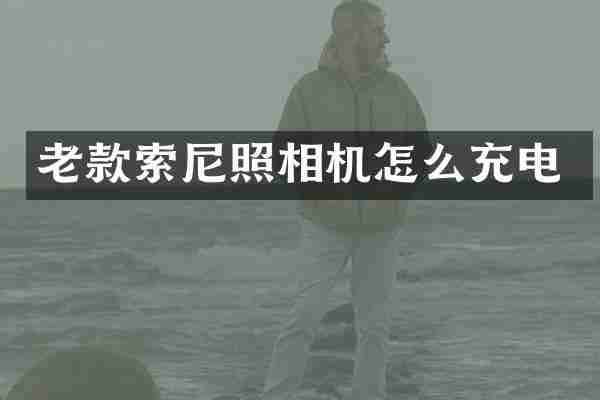 老款照相机怎么充电
