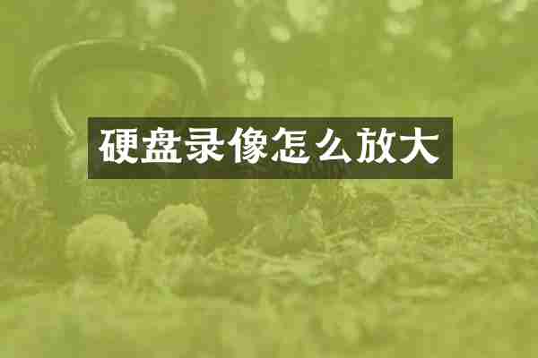 硬盘录像怎么放大