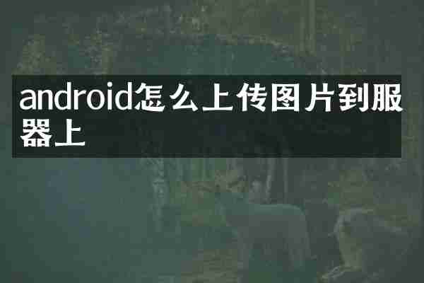 android怎么上传图片到服务器上