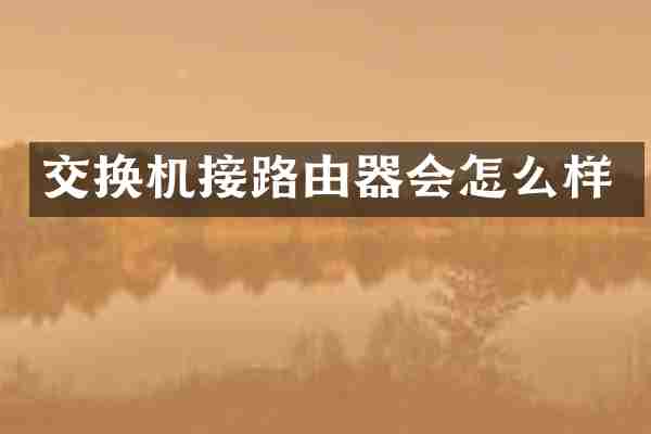 交换机接路由器会怎么样