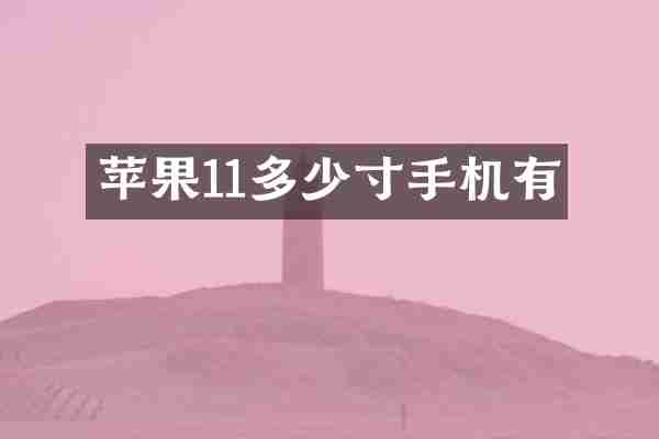 苹果11多少寸手机有