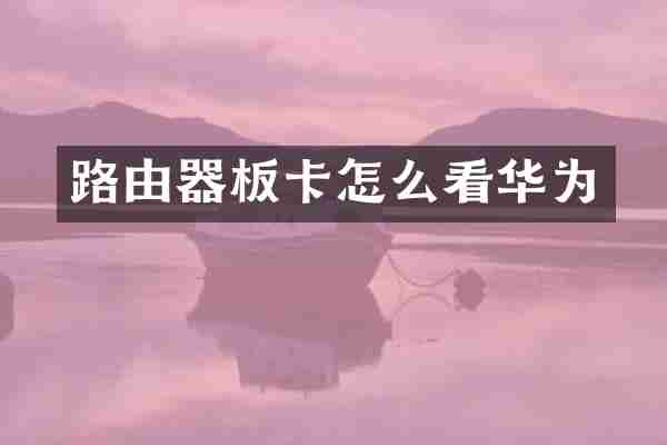 路由器板卡怎么看华为