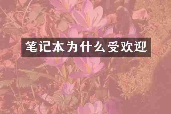 笔记本为什么受欢迎