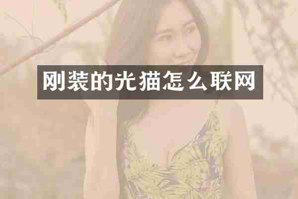 刚装的光猫怎么联网
