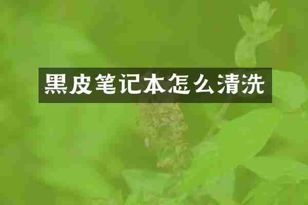 黑皮笔记本怎么清洗